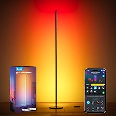 Govee RGBIC Floor Lamp Basic